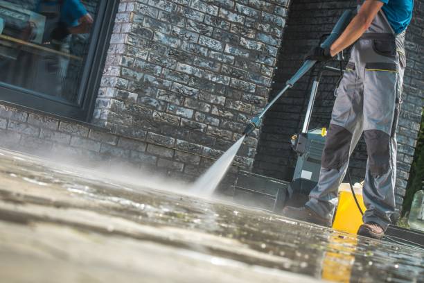 Best Building Exterior Washing  in Paisley, FL