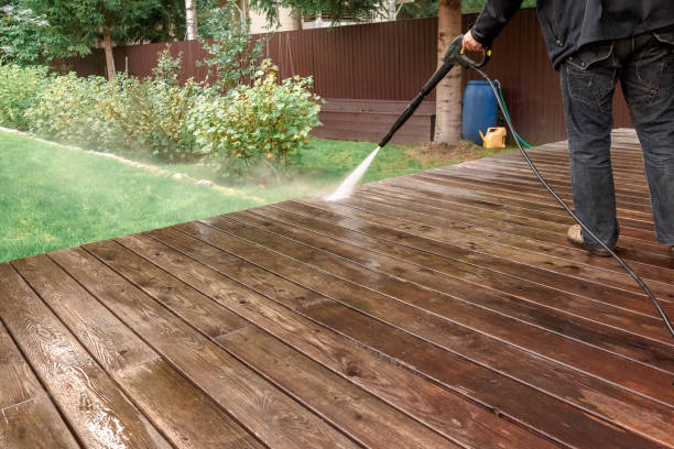 Best House Exterior Washing  in Paisley, FL